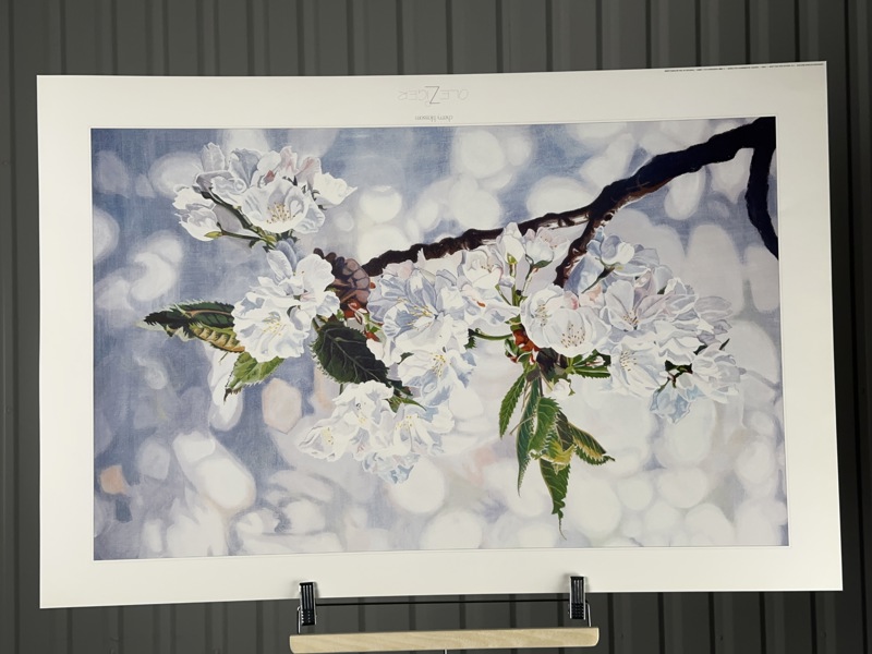 Poster Cherry Blossom, Olle Zeiger